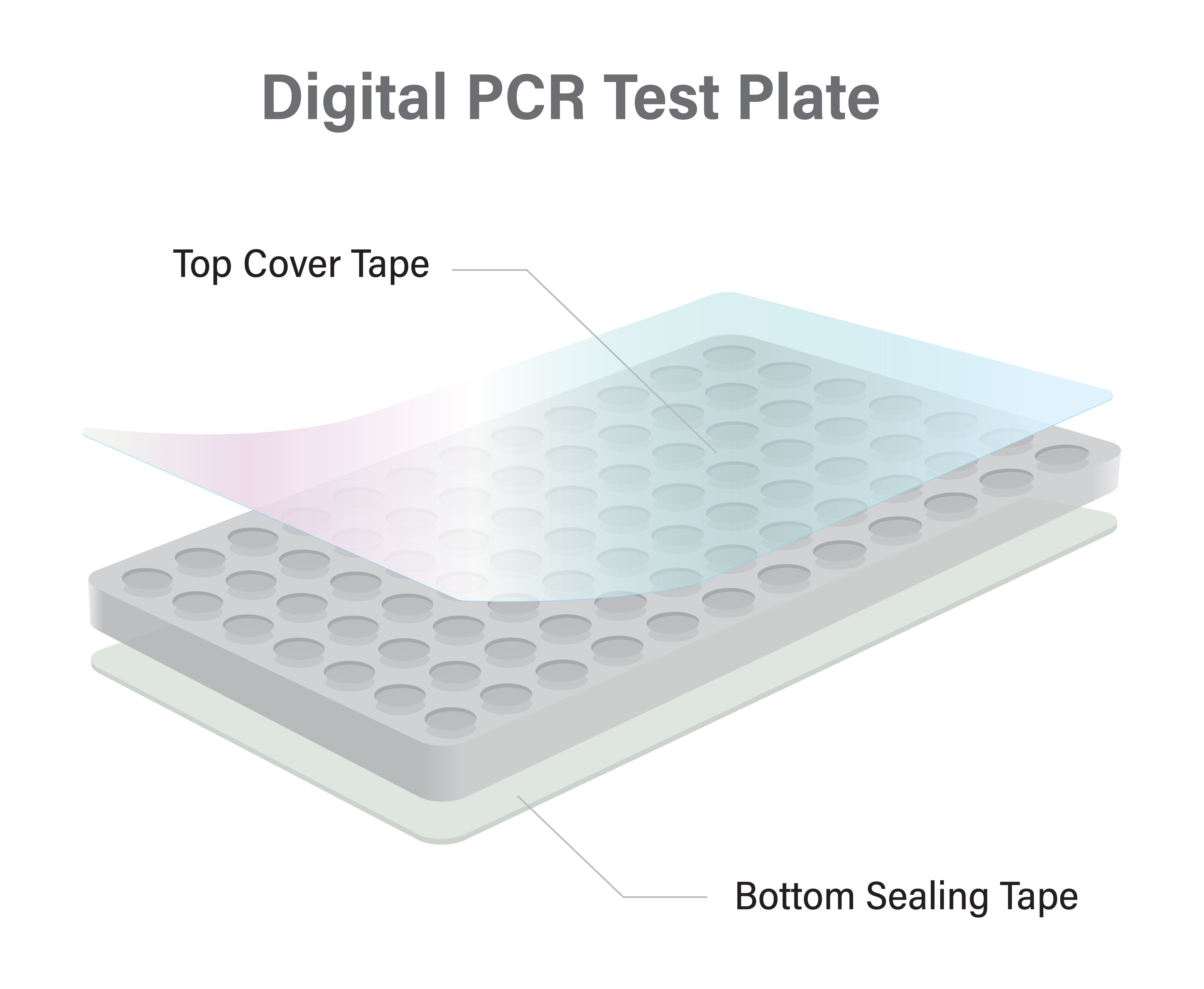 Digital PCR – Top and Bottom